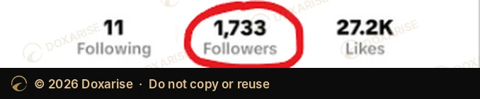 TikTok profile on September 24: 1,733 followers