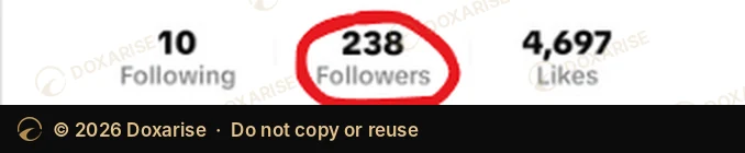 TikTok profile on September 4: 238 followers