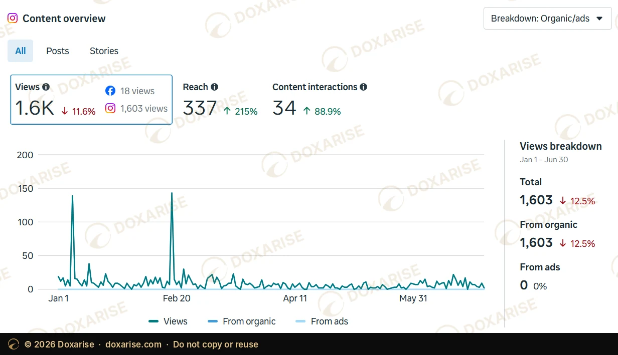 Instagram content overview, January to June 2026: 1,603 views